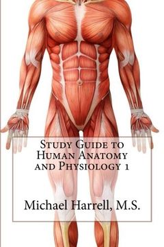 portada Study Guide to Human Anatomy and Physiology 1 (in English)