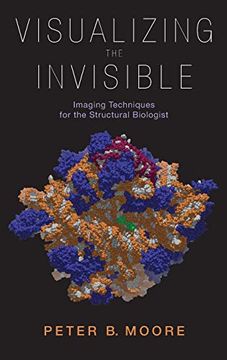 portada Visualizing the Invisible: Imaging Techniques for the Structural Biologist 