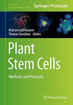 portada Plant Stem Cells: Methods and Protocols (Methods in Molecular Biology, 2094) (en Inglés)