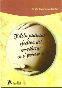 portada Tutela Judicial Efectiva del Nasciturus en el Proceso Civil