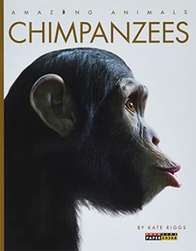 portada Chimpanzees (Amazing Animals) (in English)