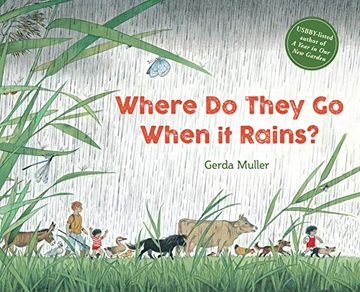 portada Where do They go When it Rains? (en Inglés)