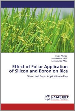 portada effect of foliar application of silicon and boron on rice (en Inglés)