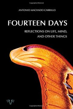 portada Fourteen Days: Reflections on Life, Mind, and Other Things (en Inglés)
