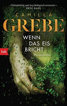 portada Wenn das eis Bricht: Psychothriller (Die Profilerin, Band 1) (in German)
