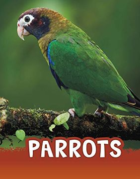 portada Parrots (Animals) (en Inglés)