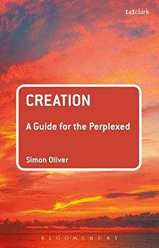 portada Creation: A Guide for the Perplexed (Guides for the Perplexed) (en Inglés)