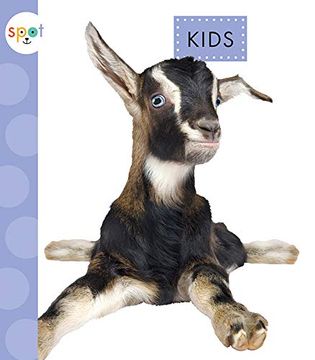portada Kids (Spot Baby Farm Animals) (in English)