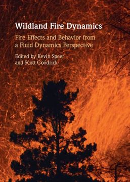 portada Wildland Fire Dynamics: Fire Effects and Behavior From a Fluid Dynamics Perspective (en Inglés)
