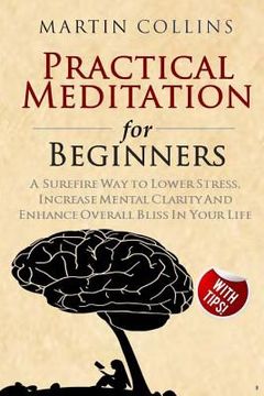 portada Practical Meditation for Beginners: A Surefire Way to Lower Stress, Increase Mental Clarity And Enhance Overall Bliss In Your Life (en Inglés)
