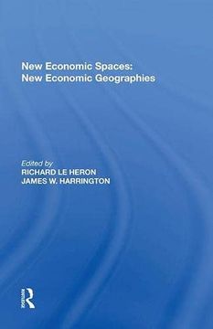 portada New Economic Spaces: New Economic Geographies (en Inglés)