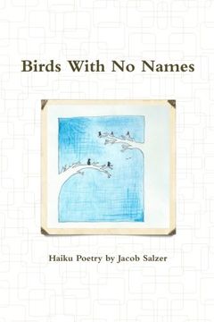 portada Birds With No Names