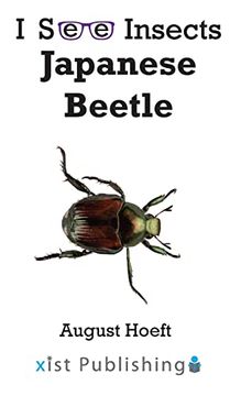 portada Japanese Beetle (i see Insects) (en Inglés)
