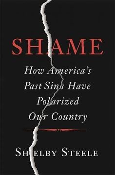 portada Shame: How America's Past Sins Have Polarized Our Country