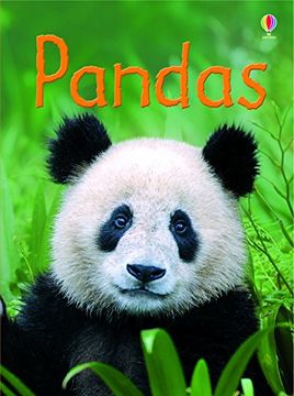 portada Pandas (Beginners Series) 