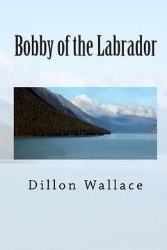 portada Bobby of the Labrador (en Inglés)