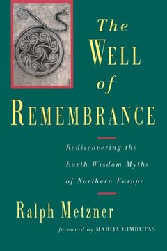portada The Well of Remembrance: Rediscovering the Earth Wisdom Myths of Northern Europe 