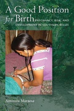 portada A Good Position for Birth: Pregnancy, Risk, and Development in Southern Belize (en Inglés)