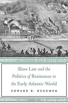 portada Slave law and the Politics of Resistance in the Early Atlantic World (in English)