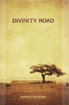 portada divinity road (en Inglés)