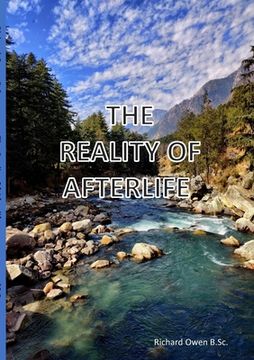 portada The Reality Of Afterlife (en Inglés)