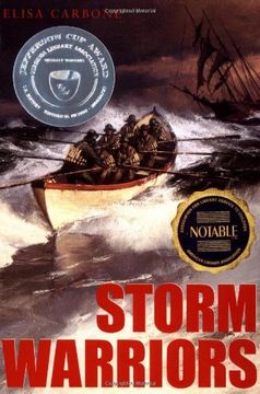 portada Storm Warriors (en Inglés)