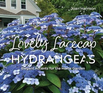 portada Lovely Lacecap Hydrangeas: Elegant Accents for the Home Garden (en Inglés)