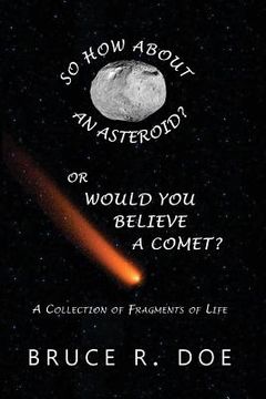 portada So How about an Asteroid? or Would You Believe a Comet?: A Collection of Fragments of Life (en Inglés)