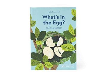 portada What's in the Egg? (en Inglés)