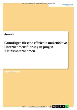 portada Grundlagen für eine effiziente und effektive Unternehmensführung in jungen Kleinstunternehmen (German Edition)