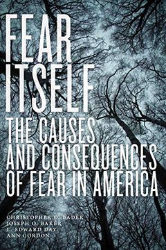 portada Fear Itself: The Causes and Consequences of Fear in America 
