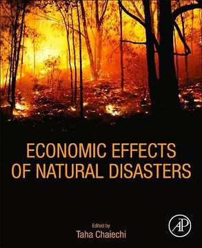 portada Economic Effects of Natural Disasters: Theoretical Foundations, Methods, and Tools (en Inglés)