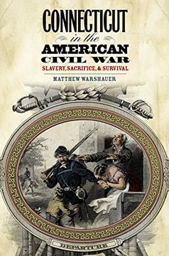 portada connecticut in the american civil war: slavery, sacrifice, and survival (en Inglés)