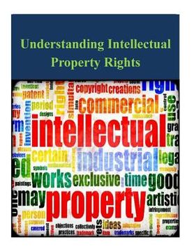 portada Understanding Intellectual Property Rights (en Inglés)