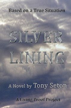 portada silver lining (en Inglés)