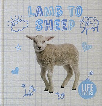 portada Lamb to Sheep (in English)