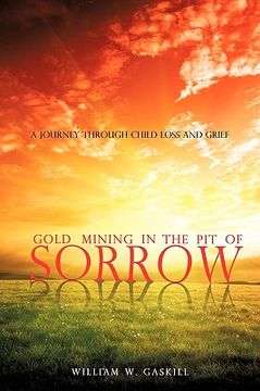 portada gold mining in the pit of sorrow (en Inglés)