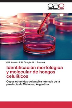 portada Identificacion Morfologica y Molecular de Hongos Celuliticos