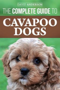 portada The Complete Guide to Cavapoo Dogs: Everything you Need to Know to Sucessfully Raise and Train Your new Cavapoo Puppy 