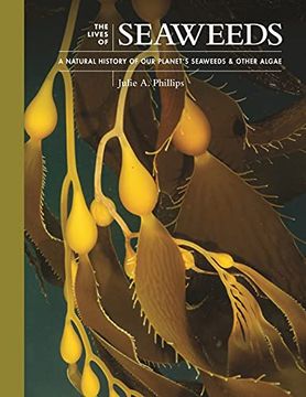 portada The Lives of Seaweeds: A Natural History of our Planet'S Seaweeds and Other Algae (The Lives of the Natural World) (en Inglés)