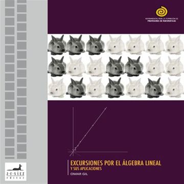 portada Excursiones por el Algebra Lineal y sus Aplicaciones (Ebook)