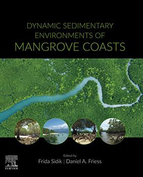 portada Dynamic Sedimentary Environments of Mangrove Coasts (en Inglés)