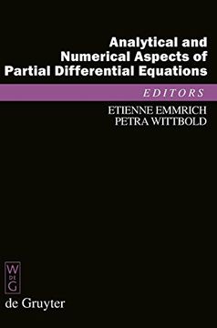 portada Analytical and Numerical Aspects of Partial Differential Equations: Notes of a Lecture Series (de Gruyter Proceedings in Mathematics) (en Inglés)
