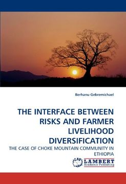 portada THE INTERFACE BETWEEN RISKS AND FARMER LIVELIHOOD DIVERSIFICATION: THE CASE OF CHOKE MOUNTAIN COMMUNITY IN ETHIOPIA