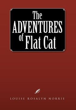 portada the adventures of flat cat (en Inglés)