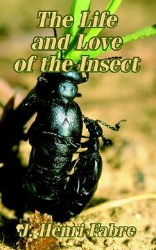 portada the life and love of the insect