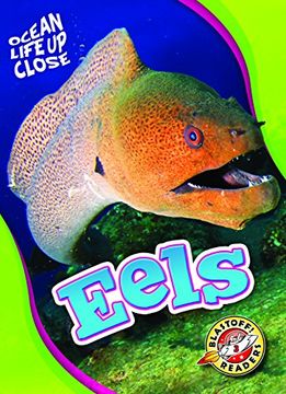 portada Eels (Blastoff! Readers, Level 3: Ocean Life Up Close)