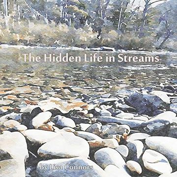 portada The Hidden Life in Streams (en Inglés)