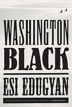 portada Washington Black: A Novel (in English)