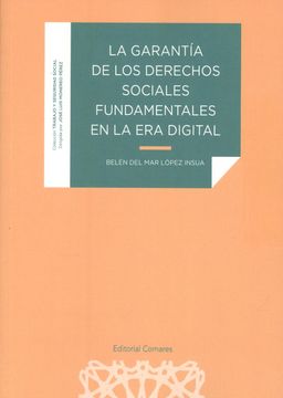 portada La Garantia de los Derechos Sociales Fundamentales en la er (in Spanish)